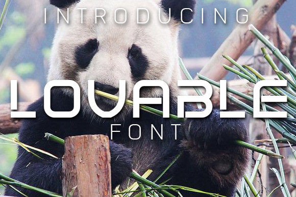 Lovable Display Font for Polished Branding